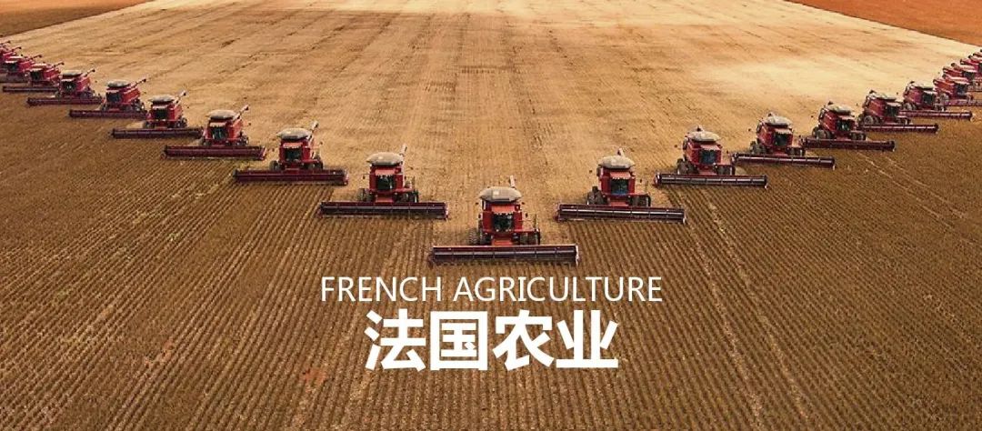 法国农业：欧盟农业大国，靠这6大战略制胜市场